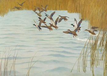 Ánades Reales en Otoño, 1941